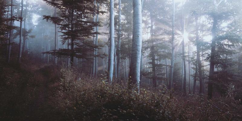 二婚人群婚恋交友指南:跨越挑战,拥抱幸福的实用策略