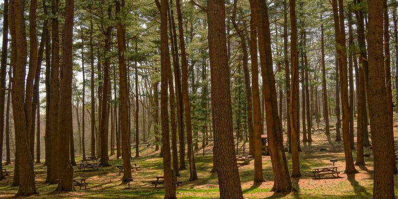 从“性格不合”到“灵魂共振”：科学匹配如何重塑现代婚恋交友模式