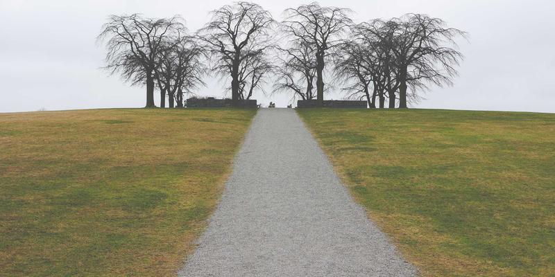 约会陷阱揭秘：在“幸福遇到我”的路上，如何慧眼识破情感诈骗？